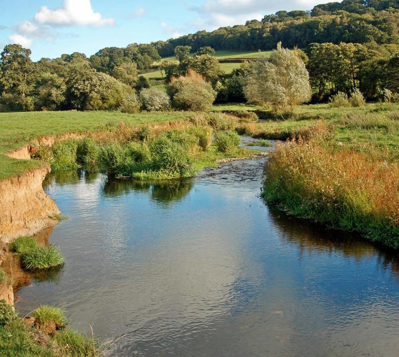 Photo of Others in Colyton