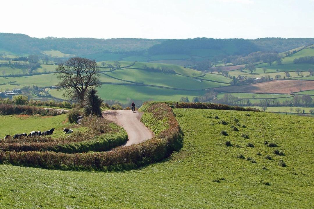 Photo of Others in Colyton