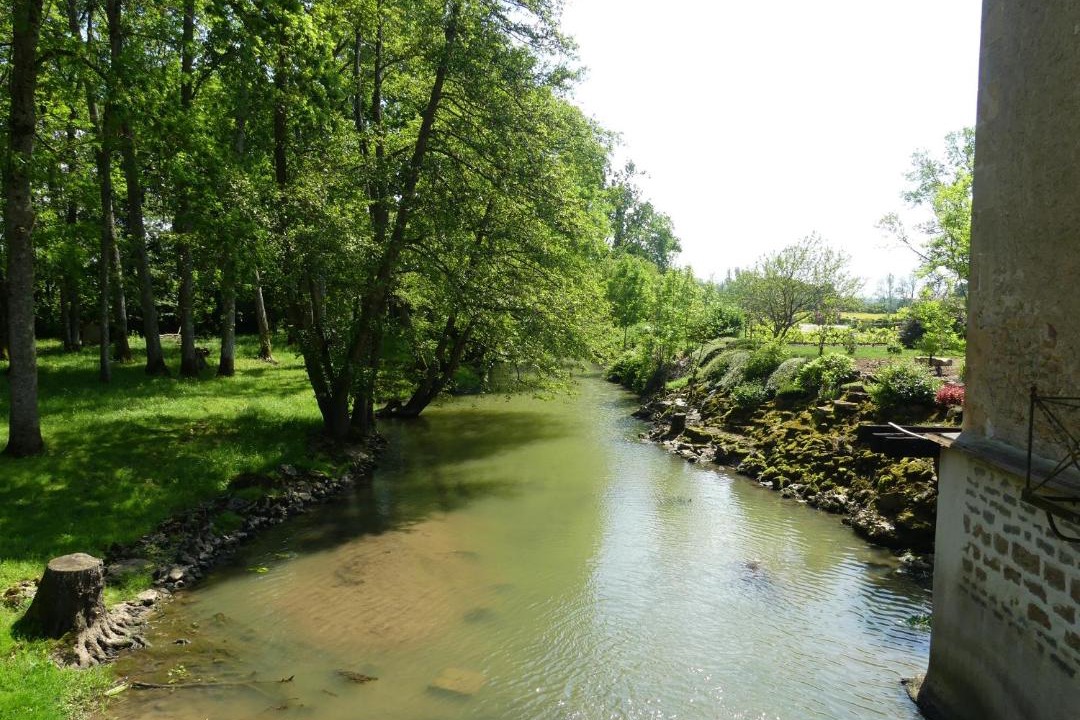 Photo of Others in Cercy-la-Tour