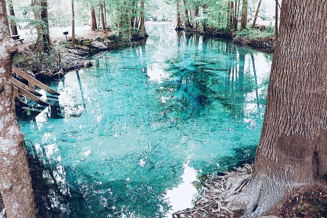 Photo of Others in High Springs