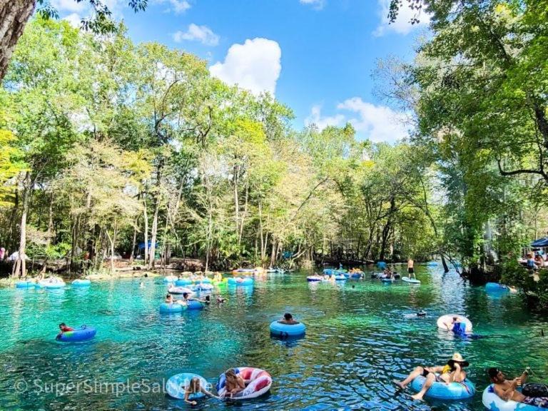 Photo of Others in High Springs