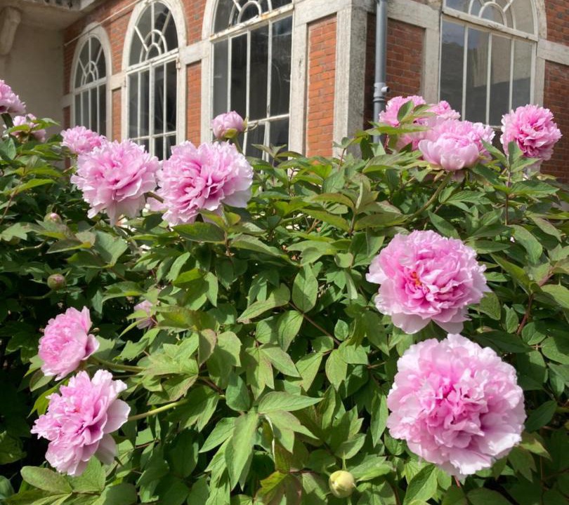 Photo of Others in Mellecey