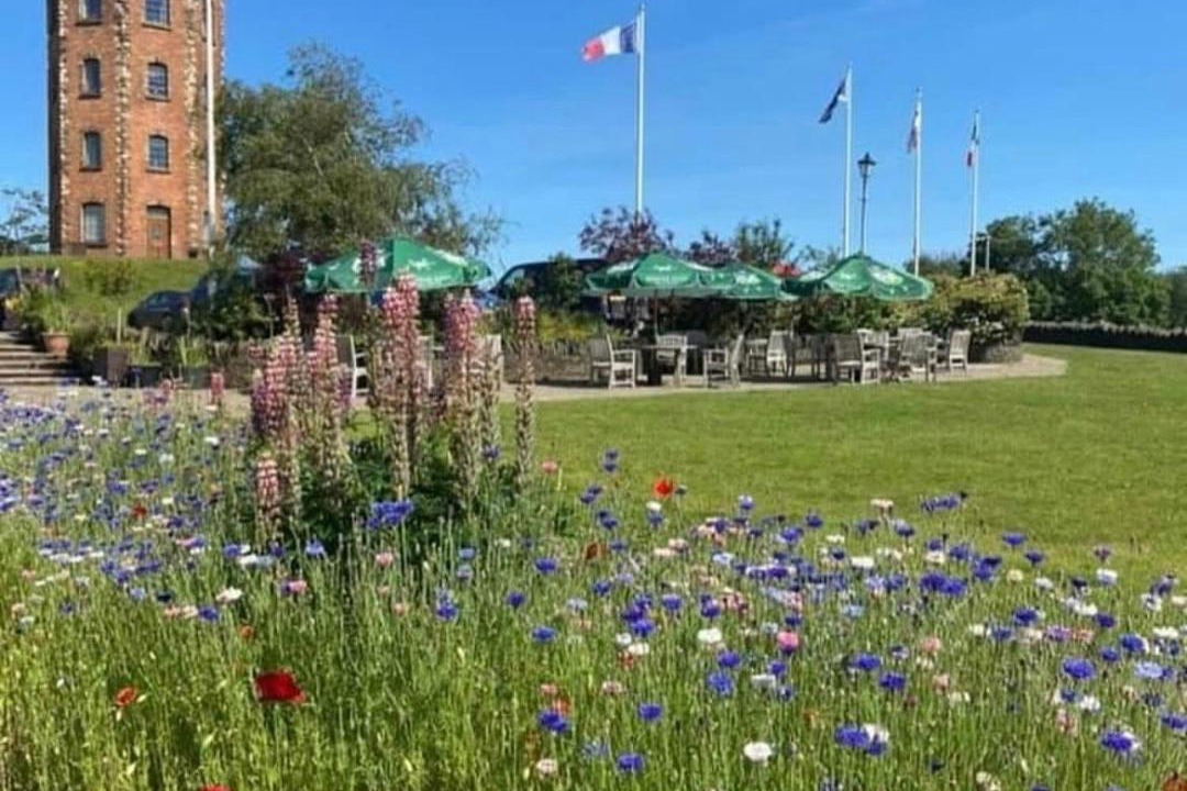 Photo of Others in Neath