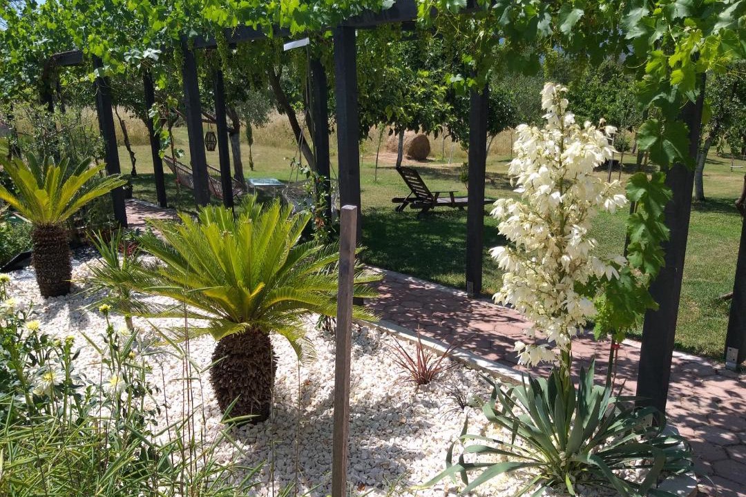 Photo of Outdoor in Ruzic