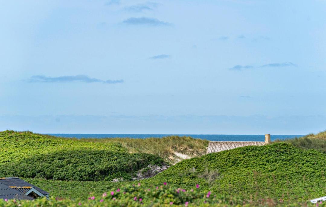 Photo of Others in Trans