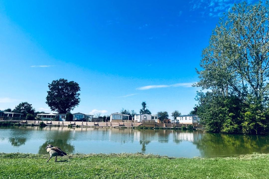 Photo of Others in Steenvoorde
