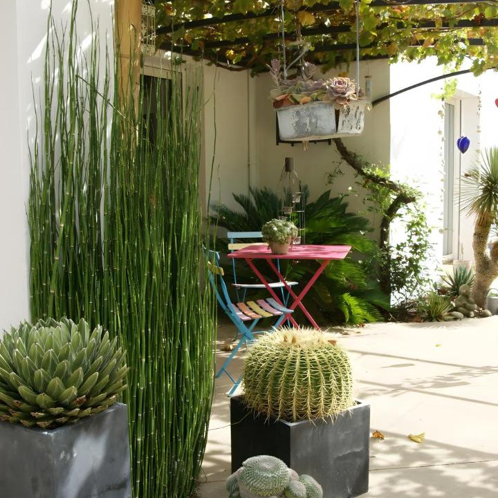 Photo of Others in Notre-Dame-de-Riez