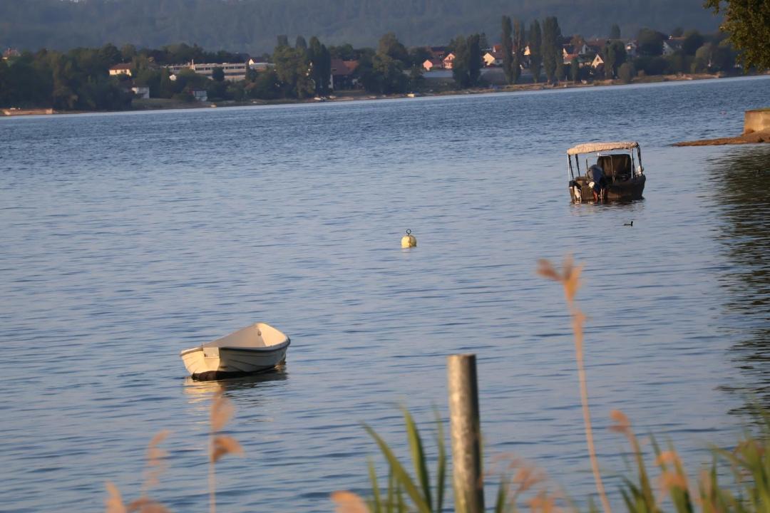 Photo of Others in Tagerwilen
