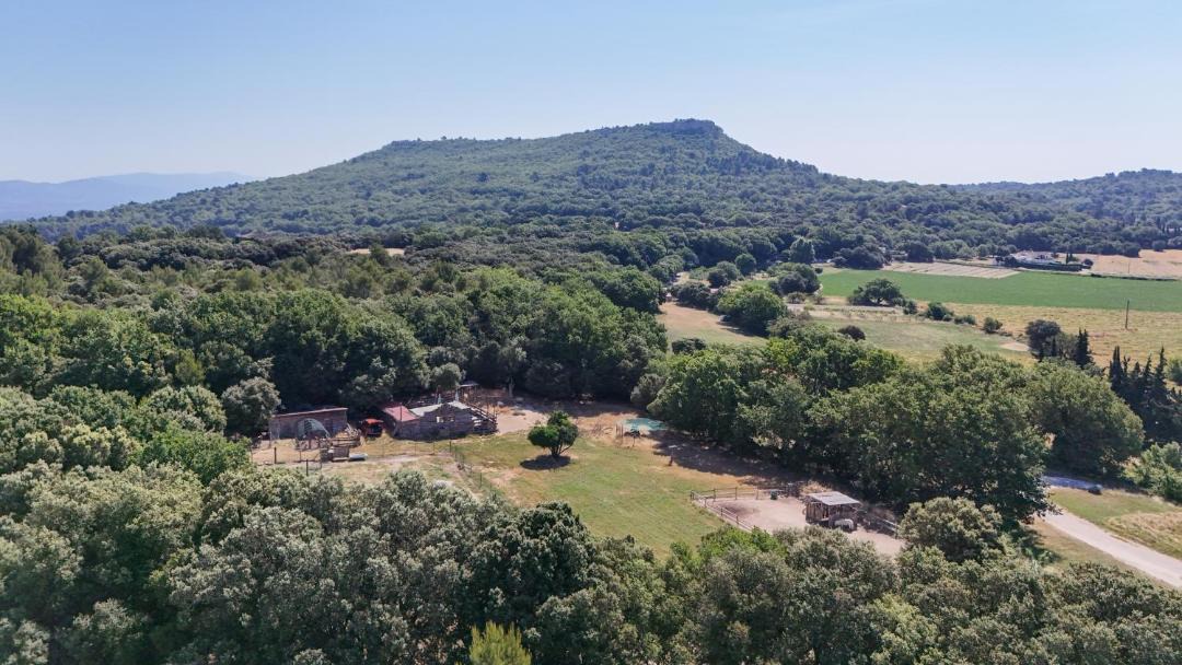 Photo of Others in Aurons