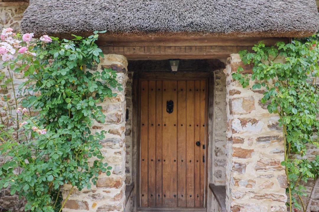 Photo of Others in West Buckland