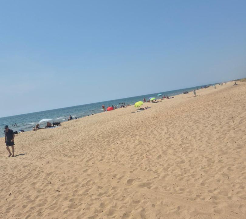 Photo of Others in Vendres