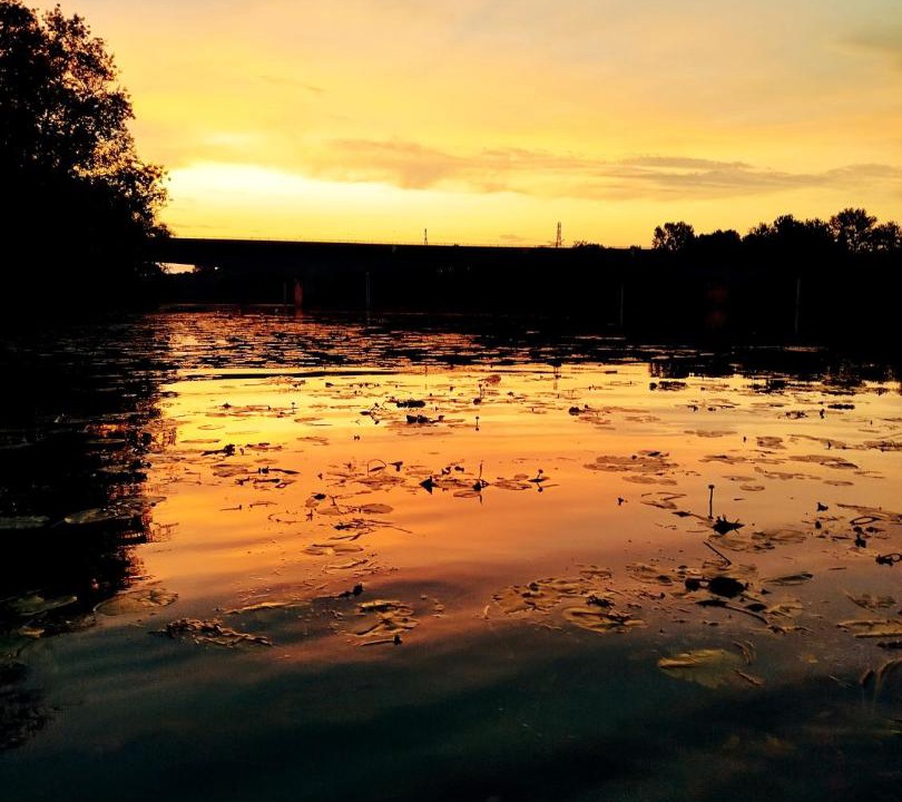 Photo of Others in Lux