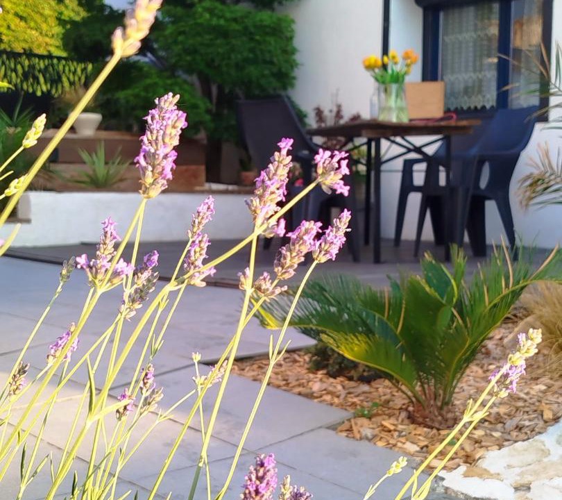 Photo of Others in Lux