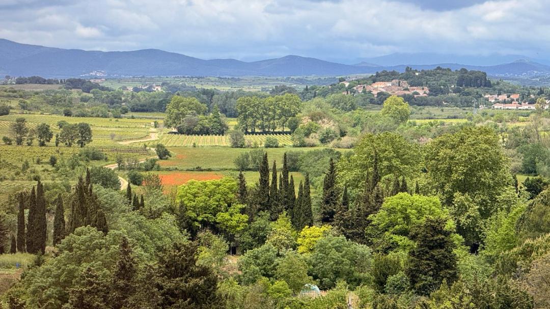 Photo of Others in Servian