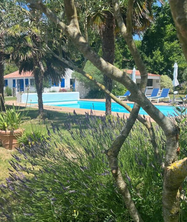 Photo of Outdoor in Sallertaine