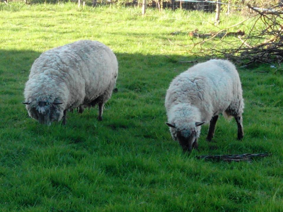 Photo of Others in Bressuire