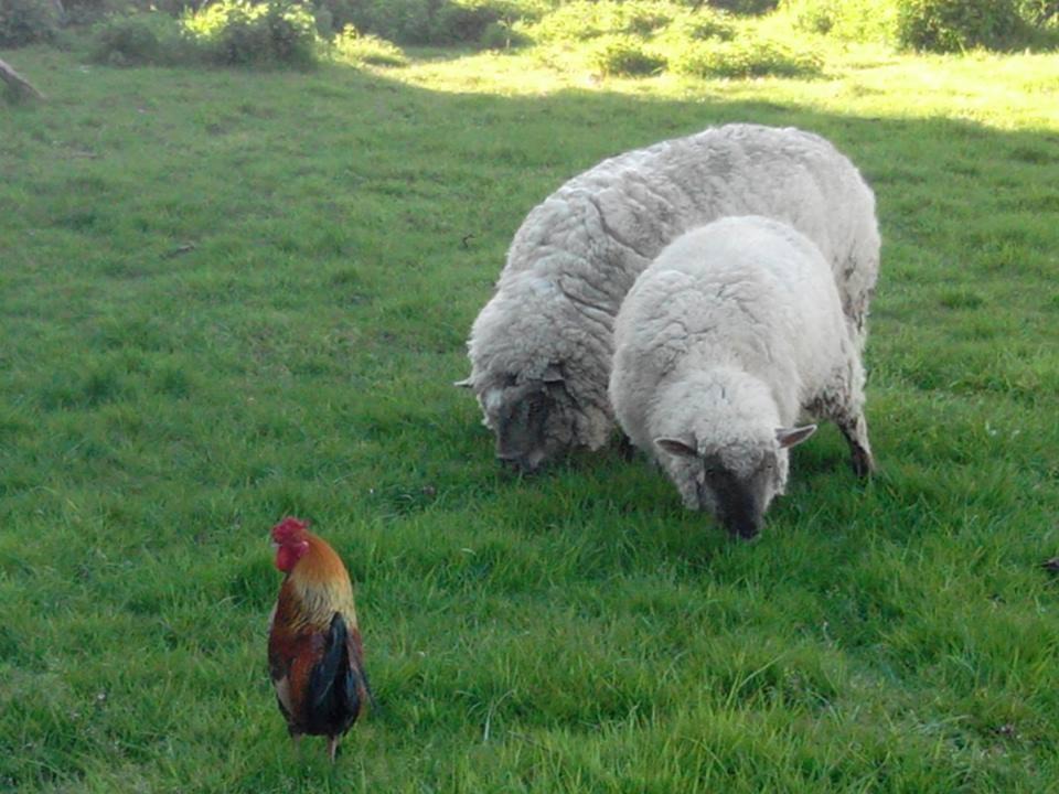 Photo of Others in Bressuire