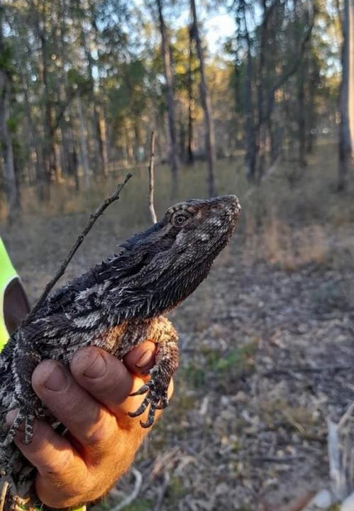 Photo of Others in South Isis