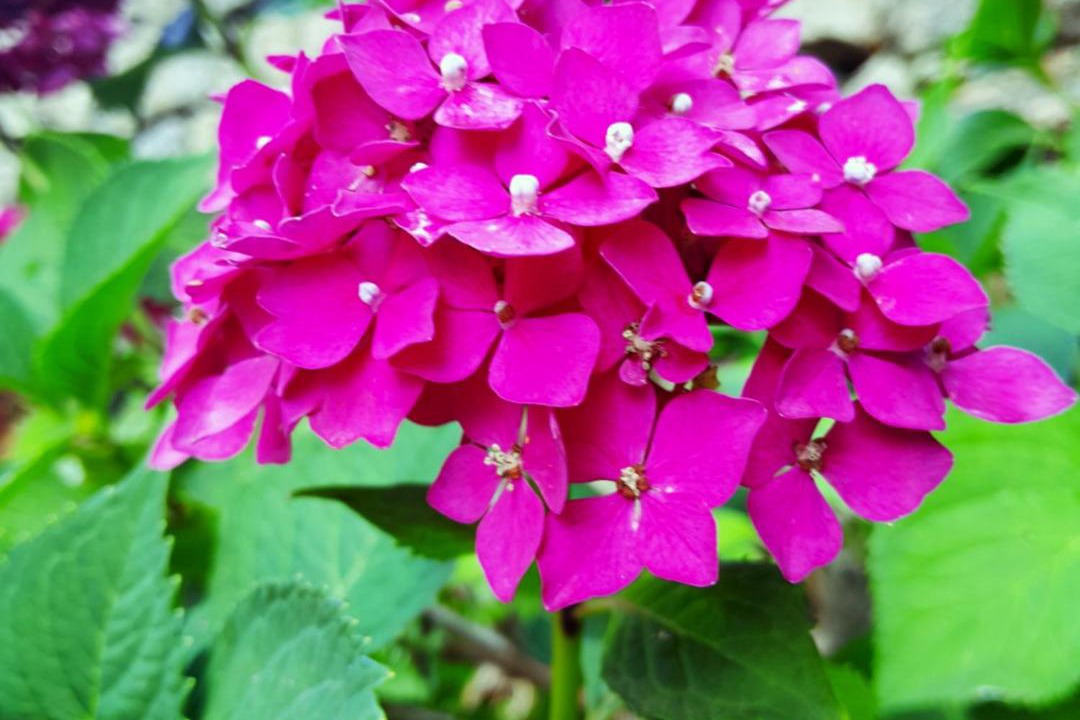 Photo of Outdoor in Saint-Julien-Vocance