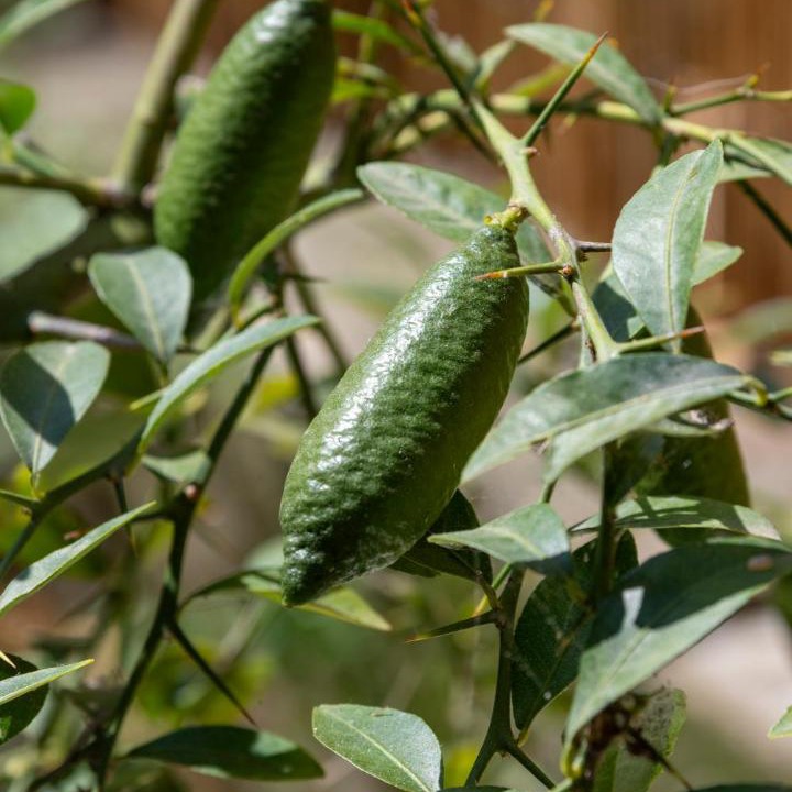 Photo of Others in La Celle-sous-Gouzon