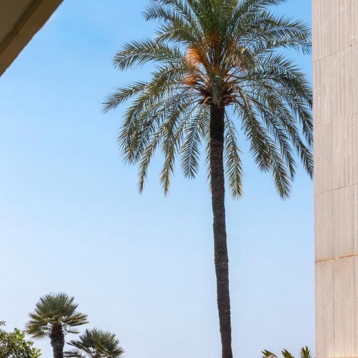 Photo of Others in La Celle-sous-Gouzon