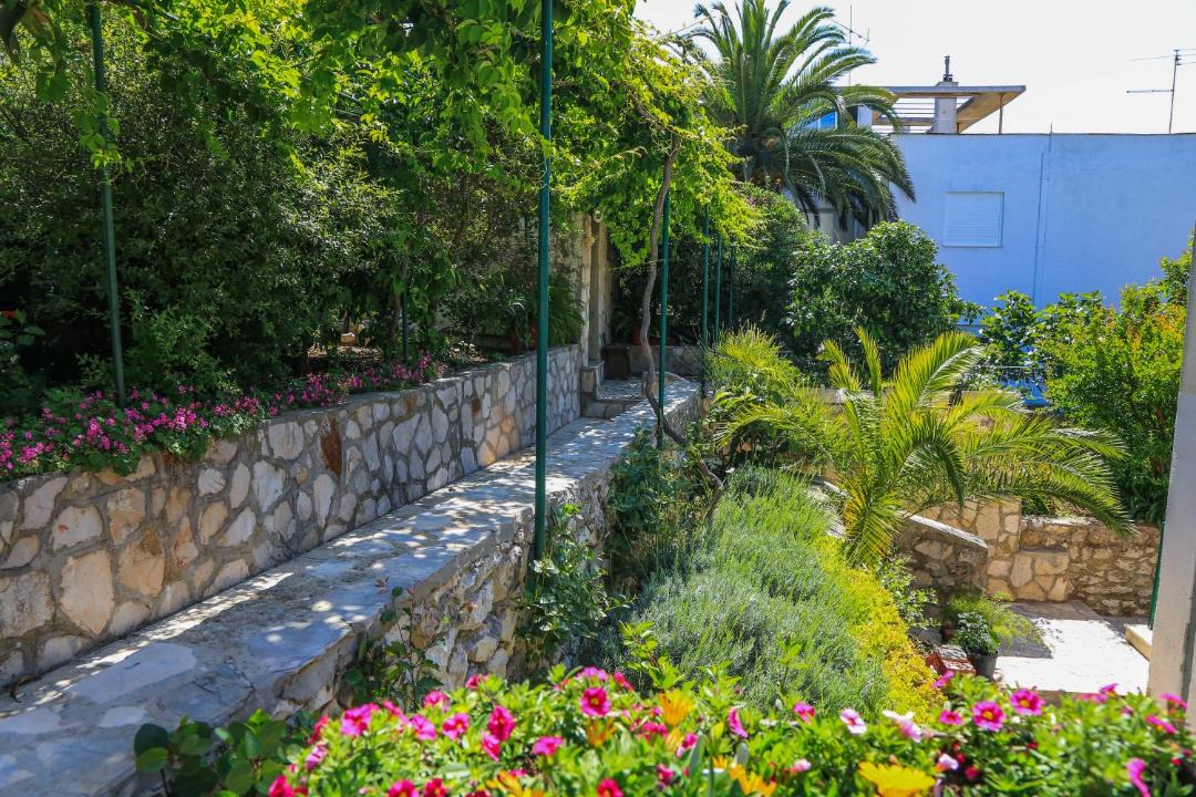 Photo of Others in Hvar Old Town