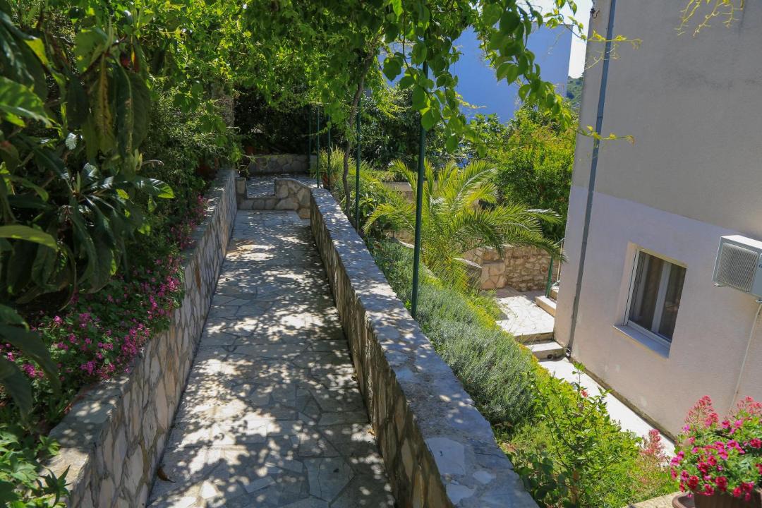 Photo of Others in Hvar Old Town