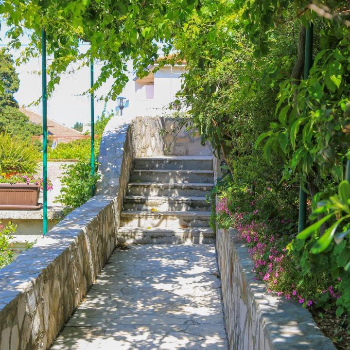 Photo of Others in Hvar Old Town