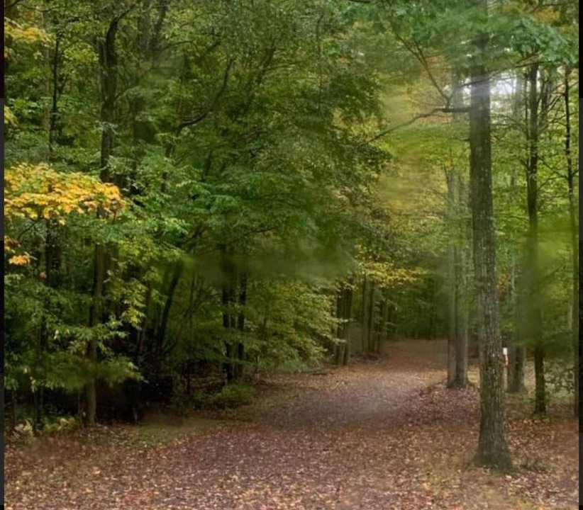 Photo of Others in Wellsboro