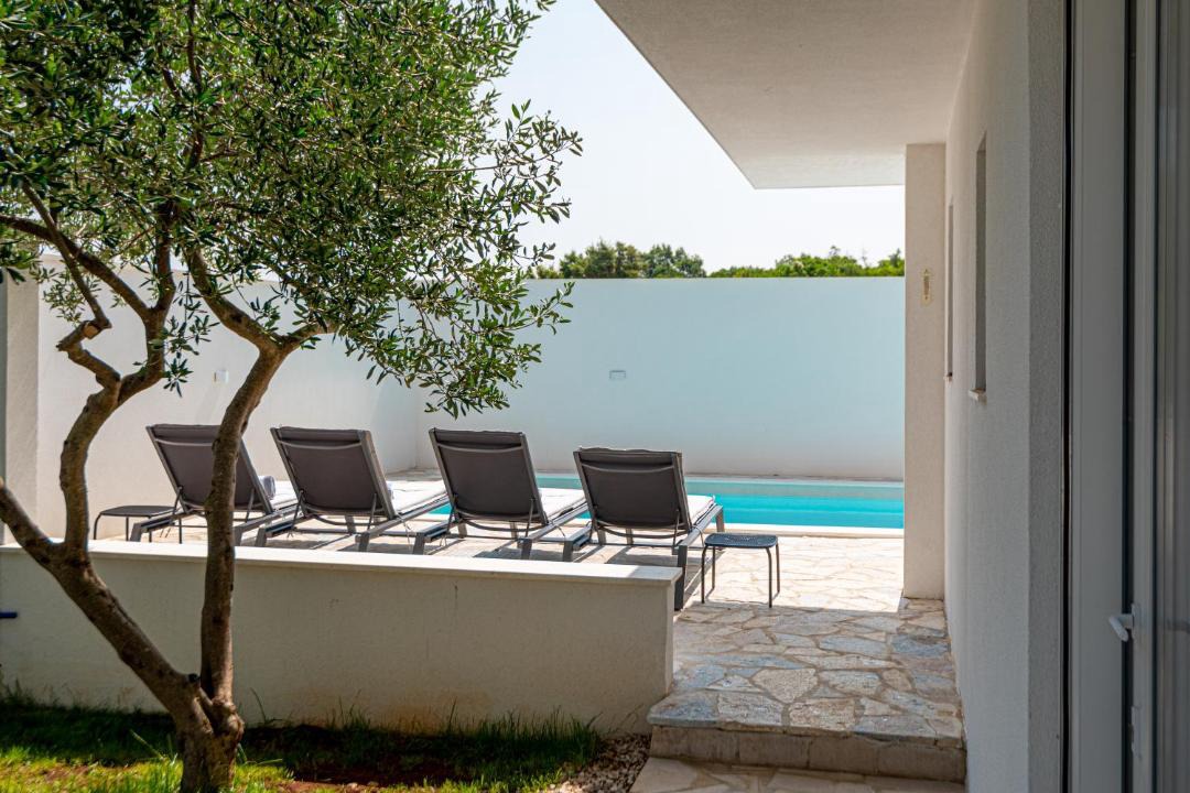 Photo of Others in Dazlina