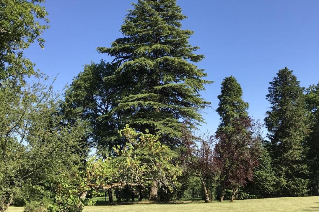 Photo of Others in Savignac-les-Eglises