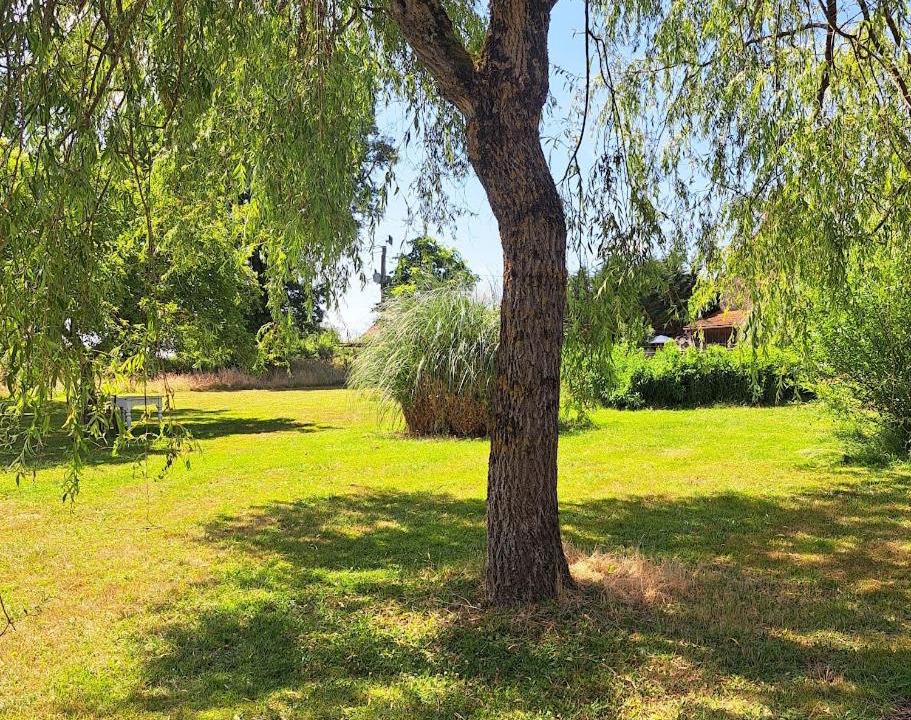 Photo of Outdoor in Brigueil-le-Chantre