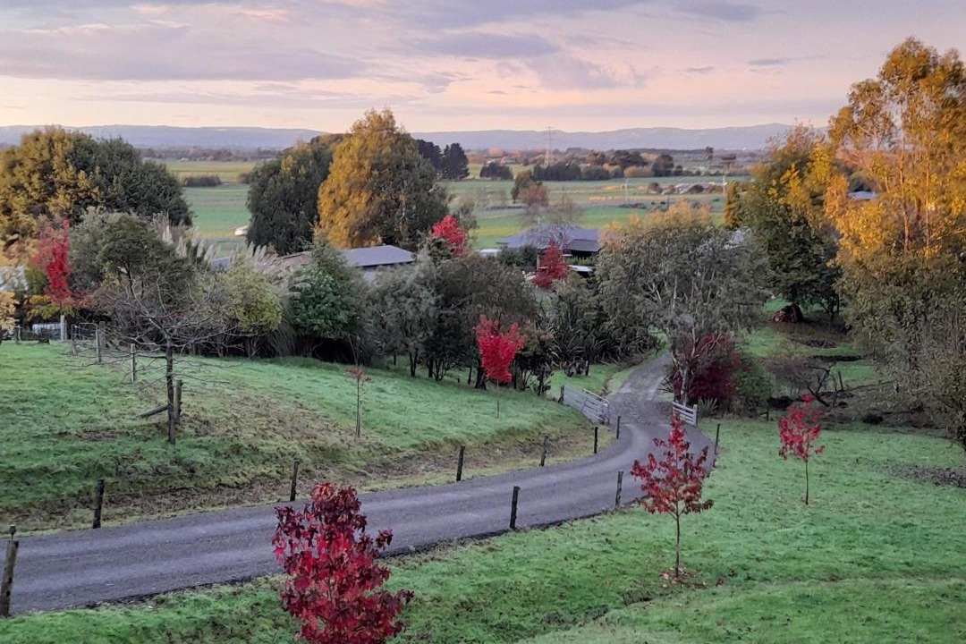 Photo of Others in Feilding