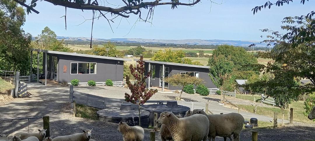 Photo of Others in Feilding