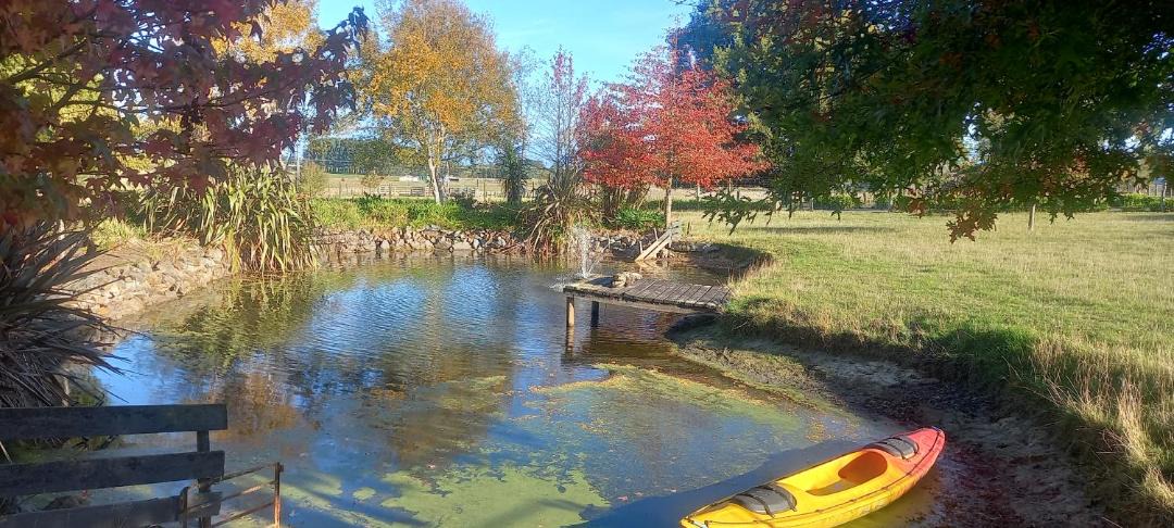 Photo of Others in Feilding