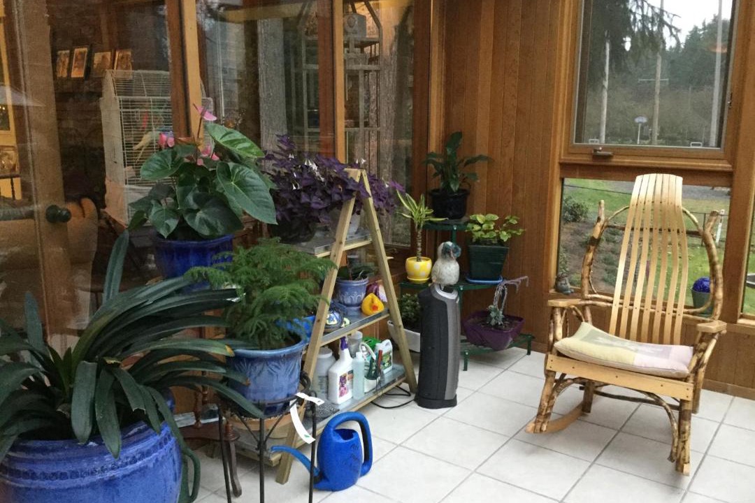 Photo of Others in Bridle Trails