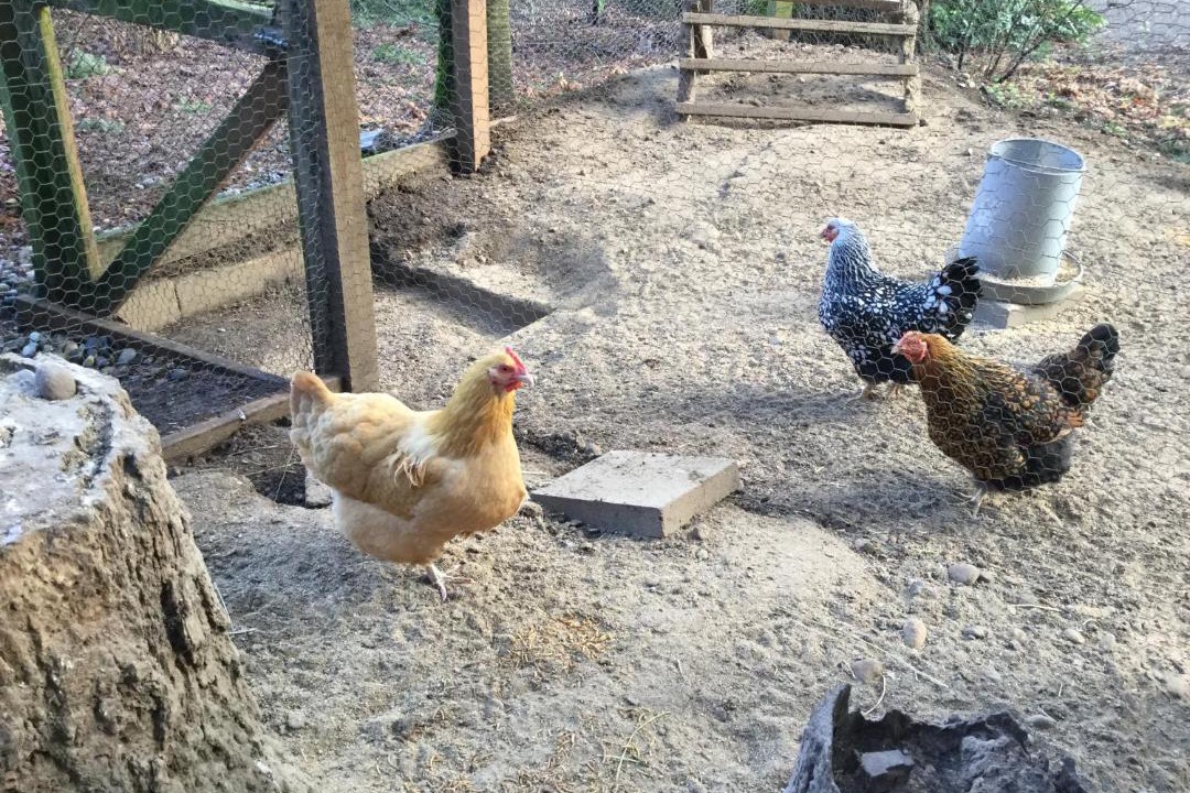 Photo of Others in Bridle Trails