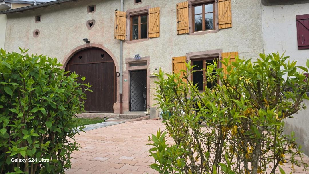 Photo of Others in La Petite-Fosse