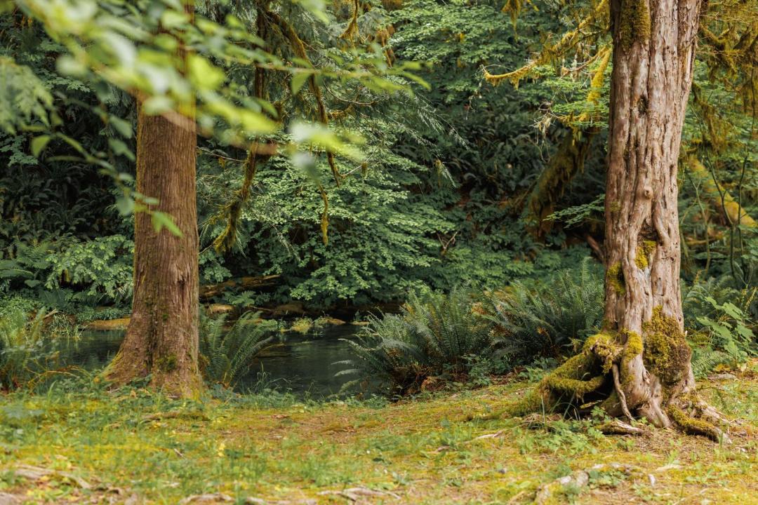 Photo of Others in Blachly