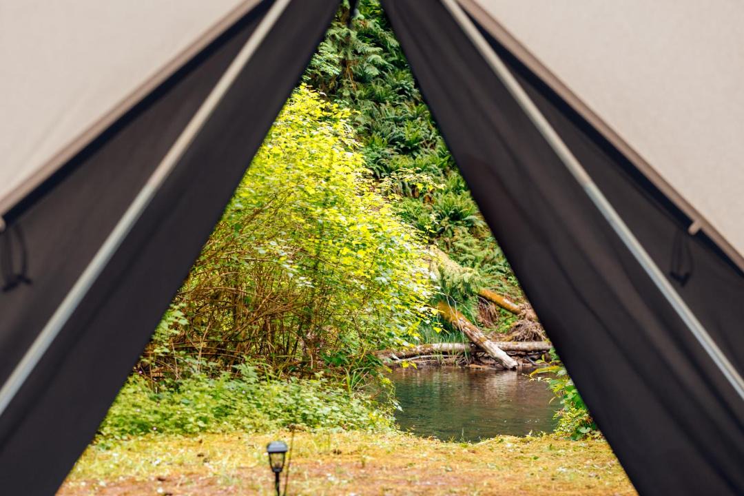 Photo of Others in Blachly