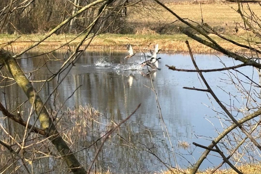 Photo of Others in Hejnsvig