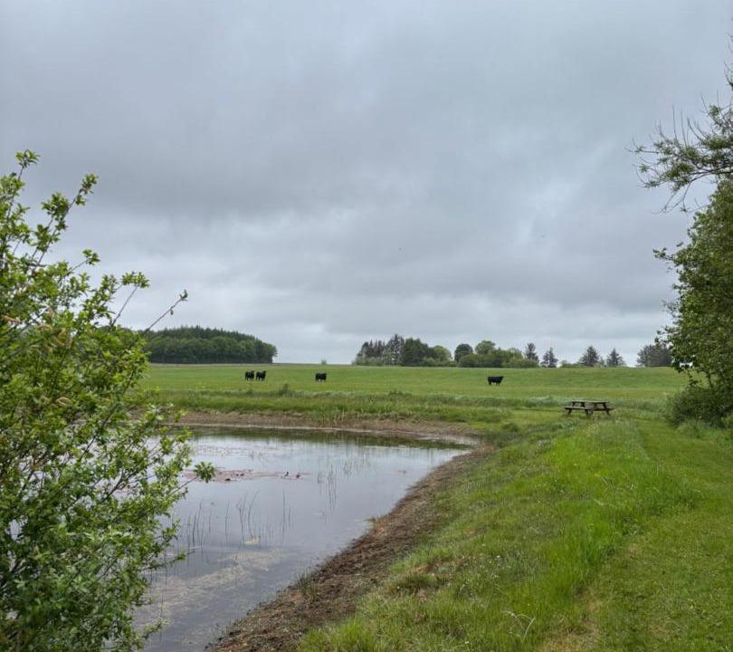 Photo of Others in Hejnsvig
