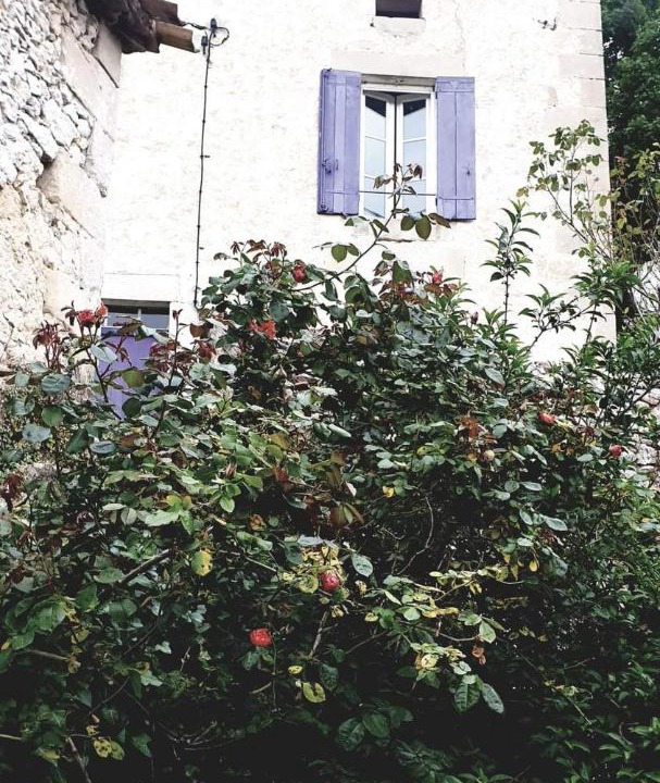 Photo of Others in Castelnau-sur-Gupie
