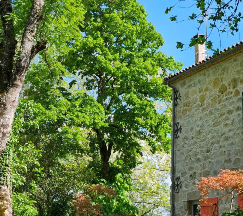 Photo of Others in Moissac