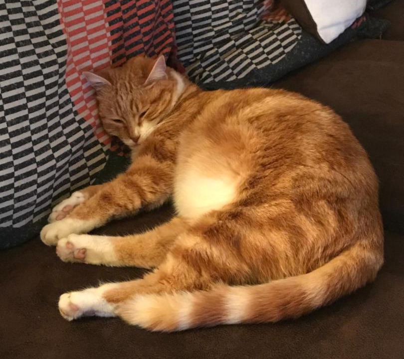 Photo of Others in Sallanches