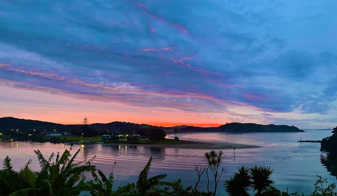 Photo of Others in Cable Bay