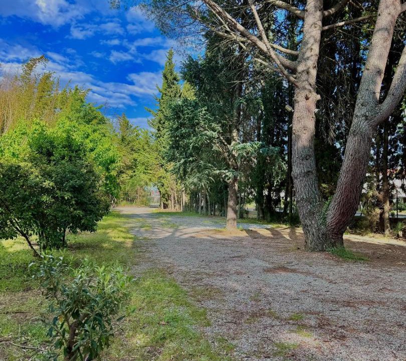 Photo of Outdoor in Thuir