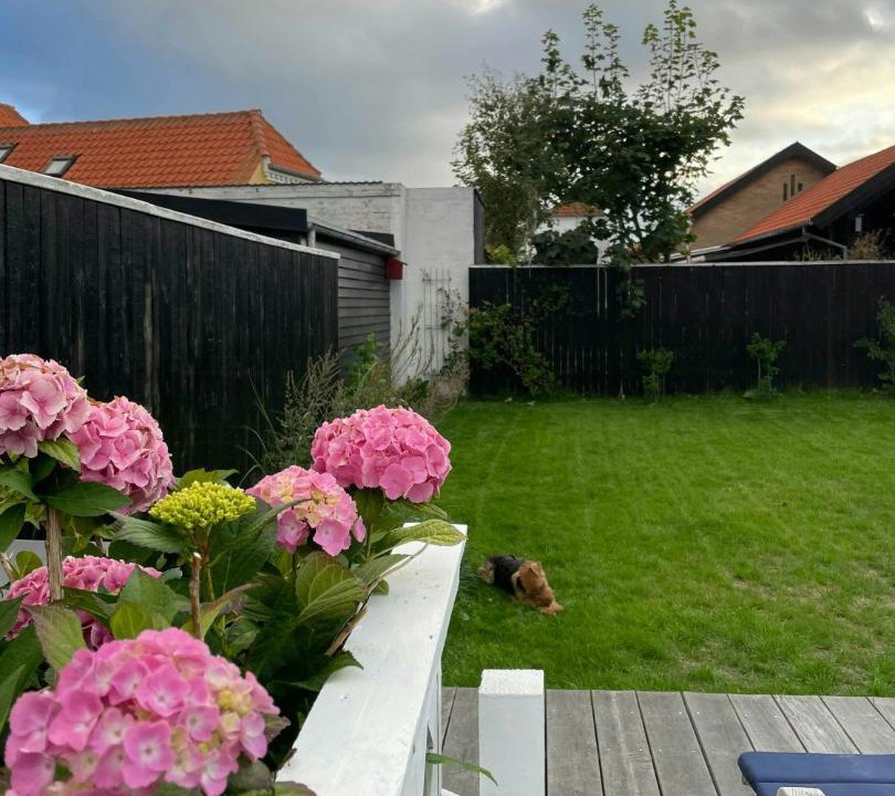Photo of Others in Skagen