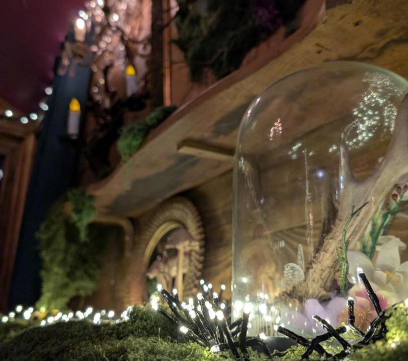 Photo of Others in Palaja