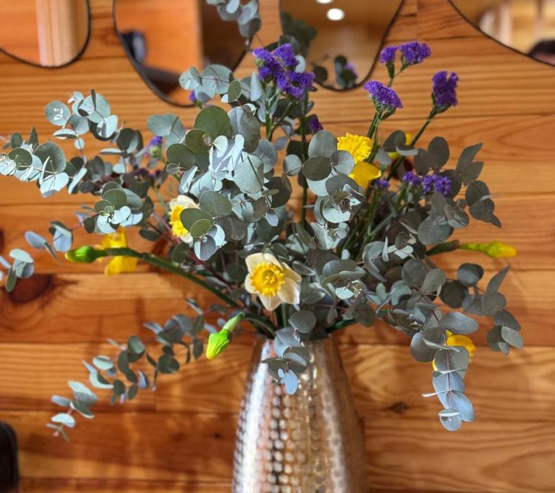 Photo of Others in Sens